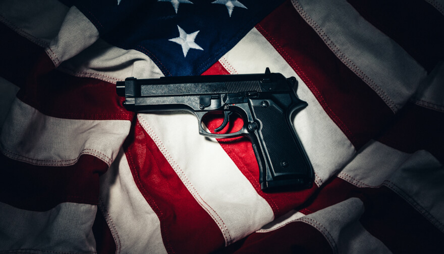 What Is Gun Registration