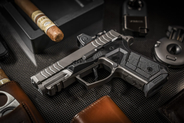 Lionheart in office 768x512