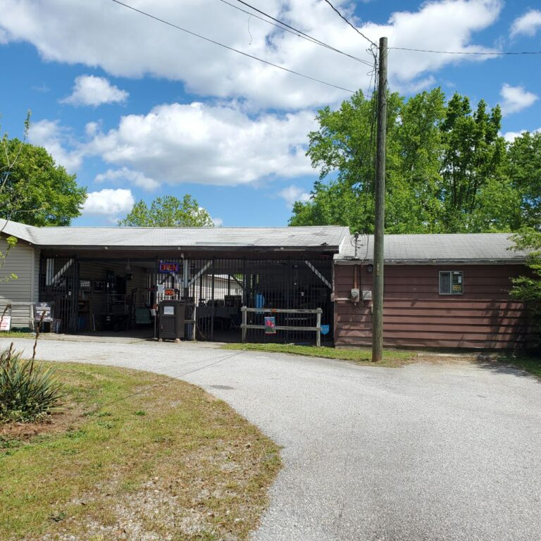 outsidemidyard 768x768