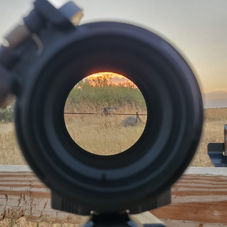 20230903 072807 768x768